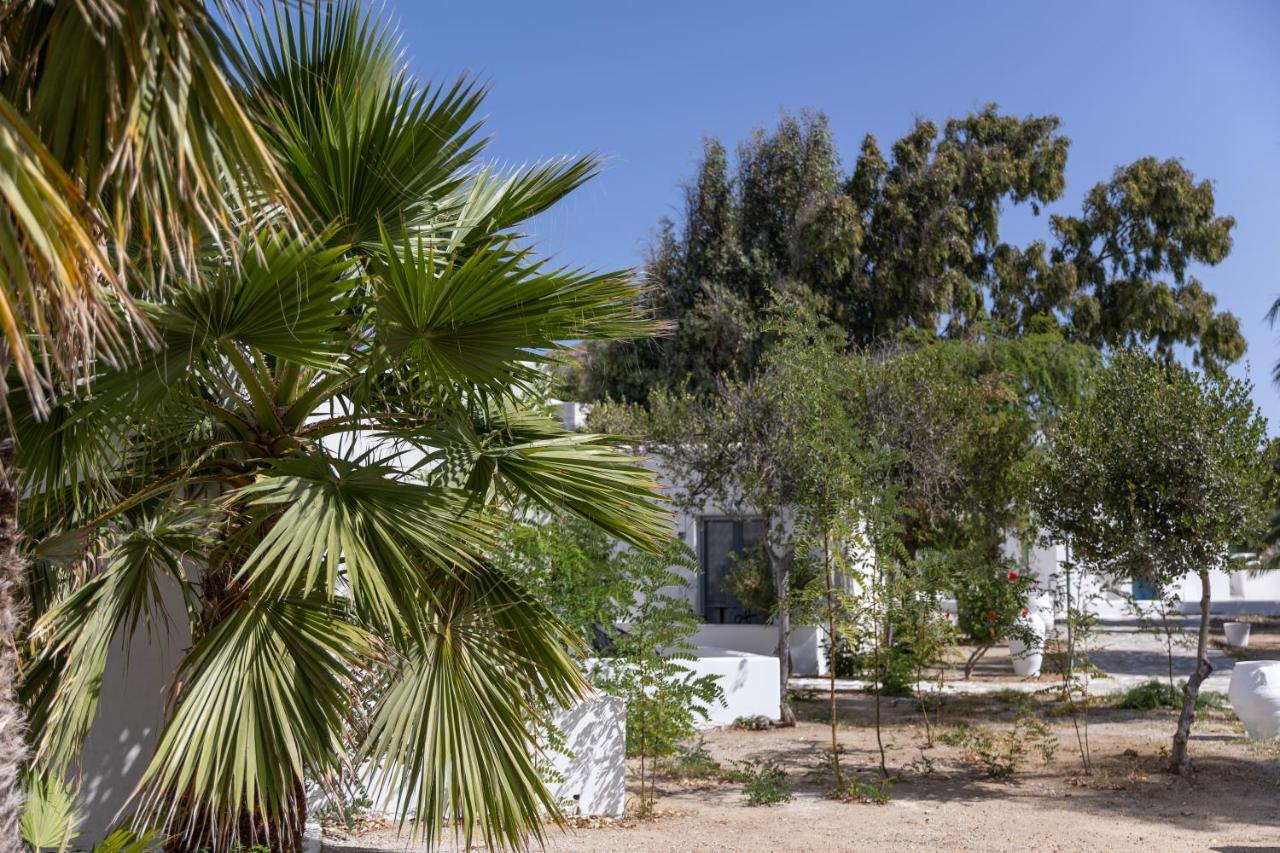 Naxos Village Naxos City Exteriör bild
